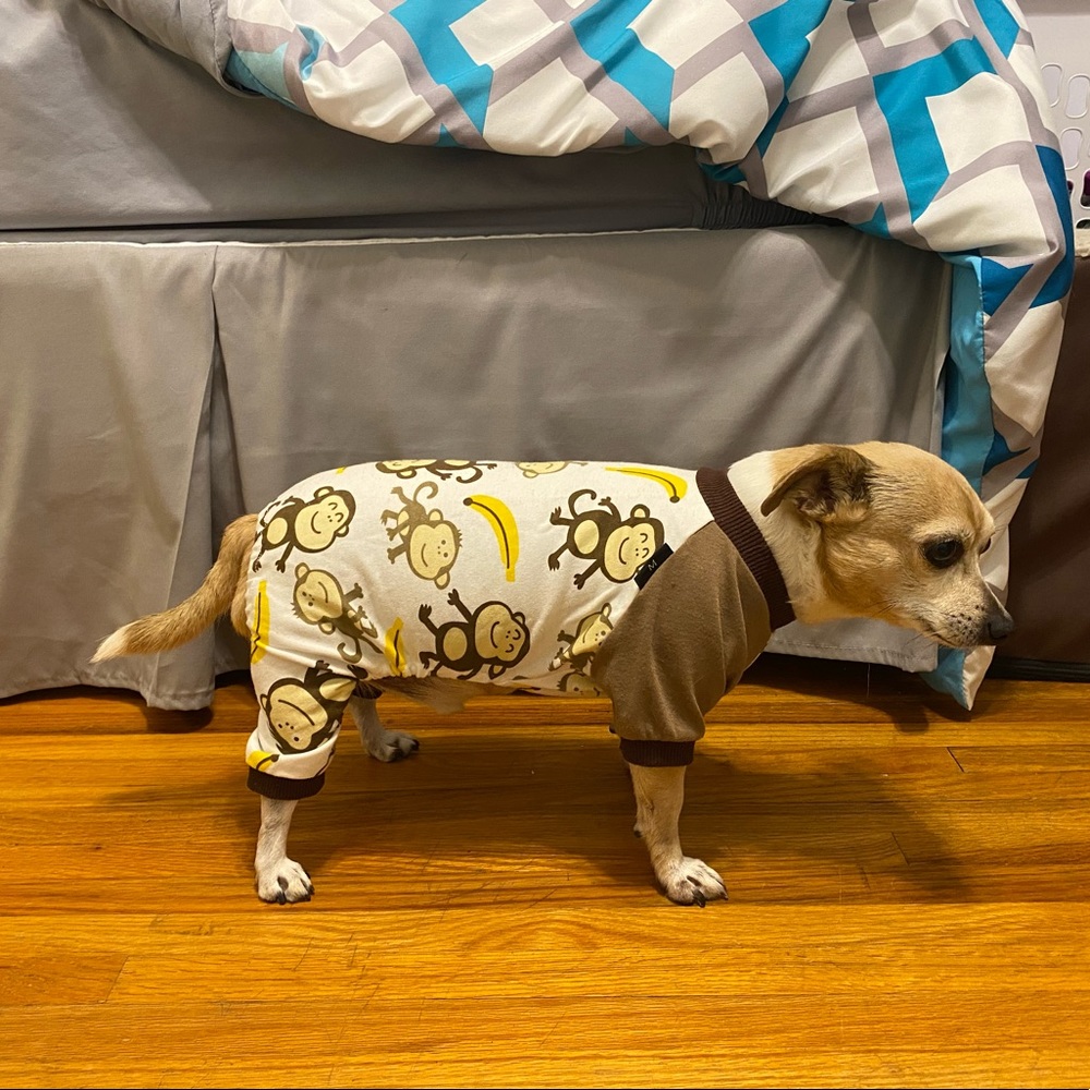 Dog pajamas